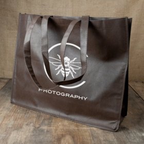 ALBUM/FRAME BAGS (SHIPPING INCLUDED )